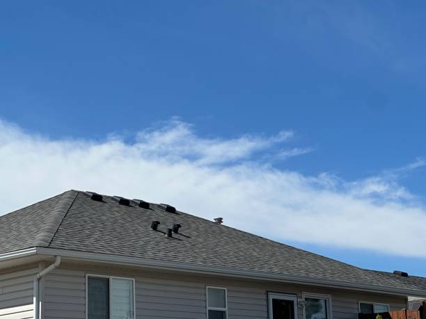 Best Storm Damage Roof Repair  in New Carlisle, OH